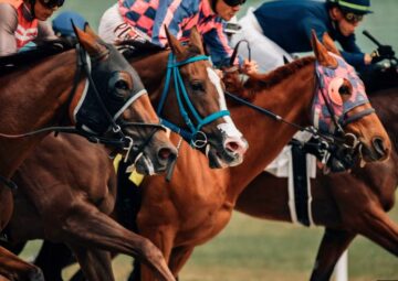From Novice to Expert: Mastering Horse Race Betting Strategies