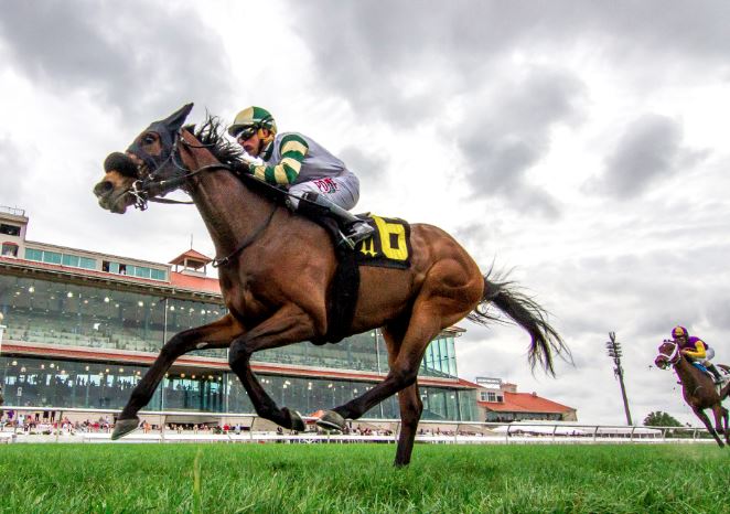 Handicap Weight Analysis: Strategies for Evaluating Horse Racing Assignments