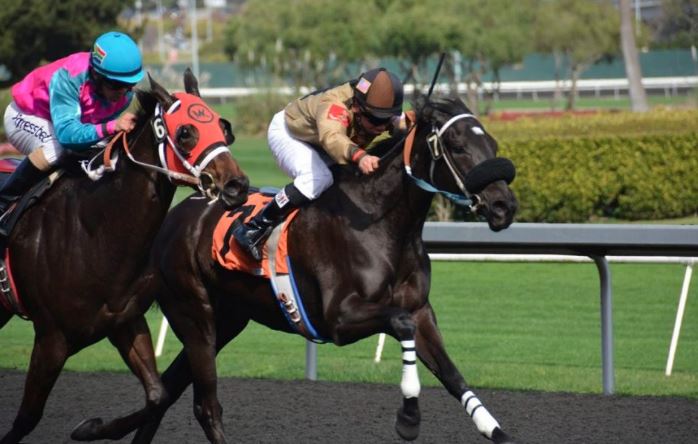 Exotic Bets Demystified: Unraveling the Secrets of Exactas, Trifectas, and Superfectas