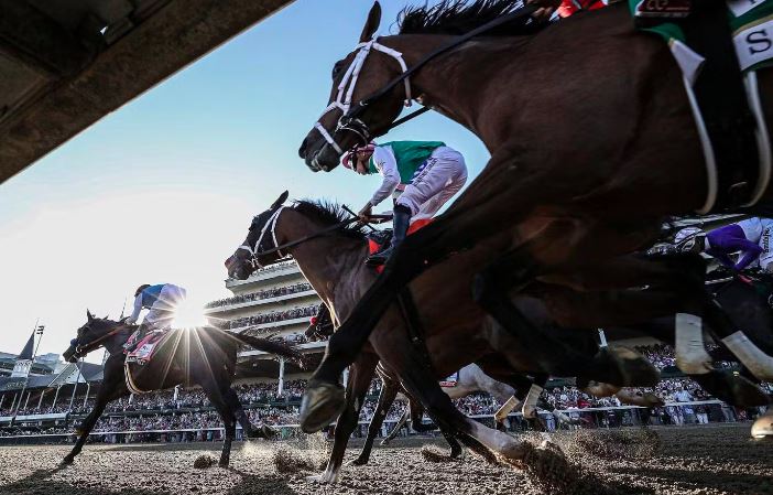 Spotting Horses for Courses: Strategies for Betting on Specific Track Conditions