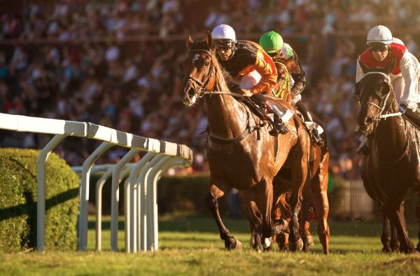How to Safely Store and Manage Cryptocurrency for Horse Racing Betting
