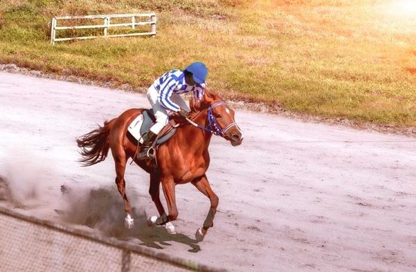 Beginner's Luck: Horse Racing Betting Tips for Novice Punters