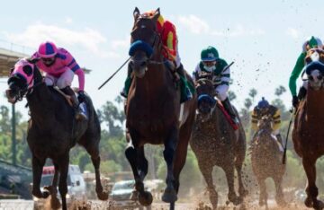 Choosing the Best Mobile Horse Racing Betting App: Factors to Consider